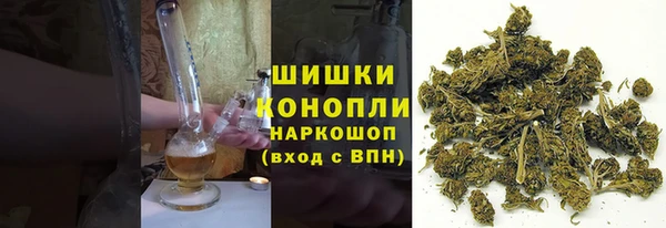 дмт Абаза