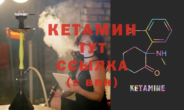 дмт Абаза