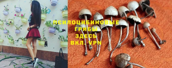метадон Абдулино