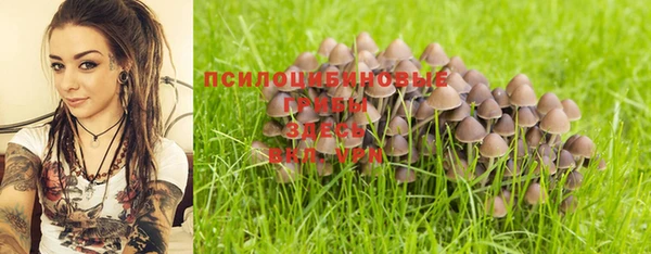 дмт Абаза